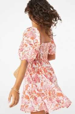Amanda Ren Dress