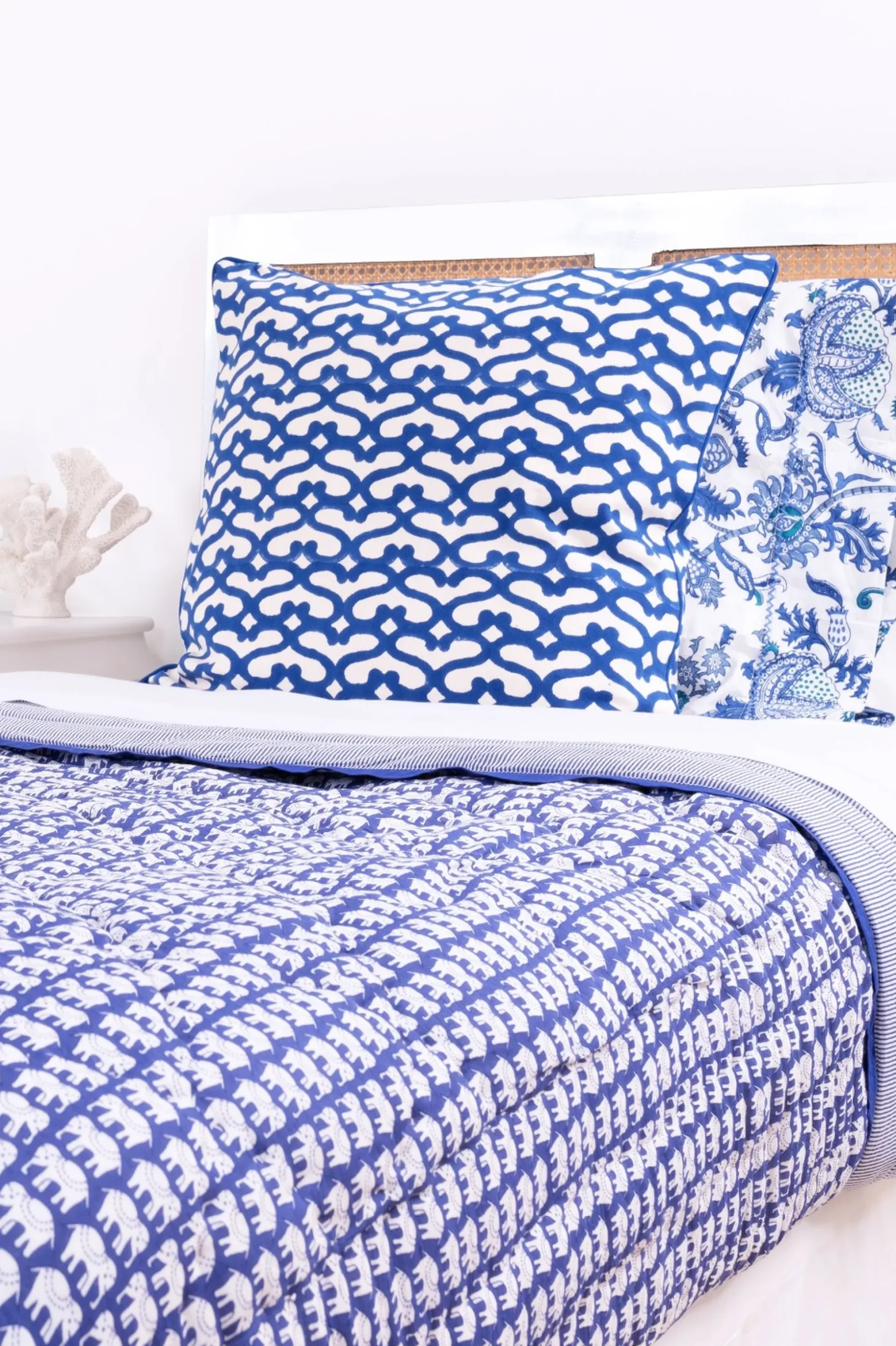 Big Cata Decorative Pillow
